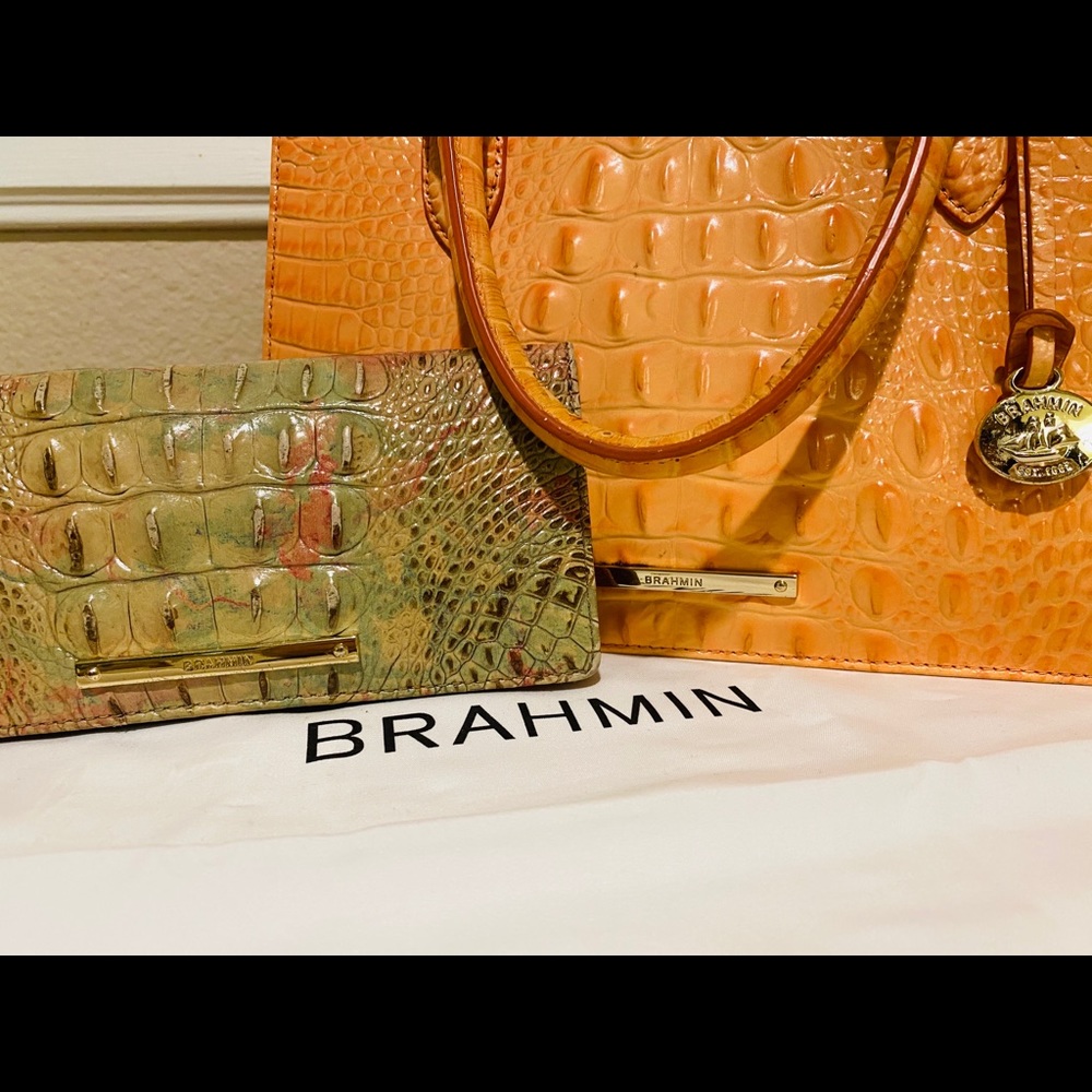 Brahmin- Accepting Offers!